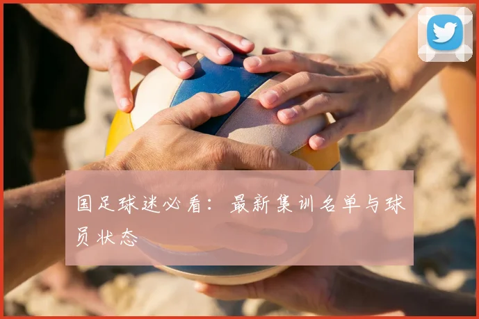 国足球迷必看:最新集训名单与球员状态