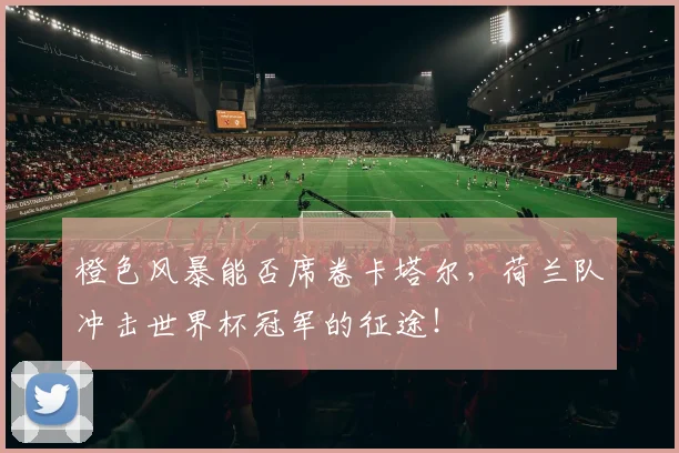 橙色风暴能否席卷卡塔尔，荷兰队冲击世界杯冠军的征途！